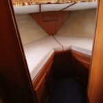 KEMPALA” AFRICAN MONARCH” – photo 19