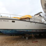 KEMPALA” AFRICAN MONARCH” – photo 25