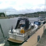 KEMPALA” AFRICAN MONARCH” – photo 5