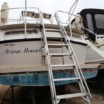 KEMPALA” AFRICAN MONARCH” – photo 28