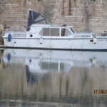 KEMPALA” AFRICAN MONARCH” – photo 2