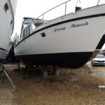KEMPALA” AFRICAN MONARCH” – photo 26