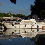 KEMPALA” AFRICAN MONARCH” – photo 1