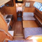 Pedro 40 “Baloo” – photo 10