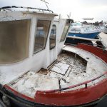 Tolladine “Elza” – photo 2