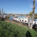 ISSELMEER KLIPPER “RENAISSANCE” – photo 2