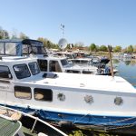 Dutch AAK – photo 3