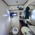 JACHTWERF DE TREFFER “VAIANA” – photo 20