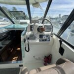 DELPHIA ESCAPE 1050 “QUETZAL” – photo 4