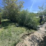 Freycinet barge 38.97 m BONANZA (1957) – bankside garden and gangway