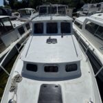 PEDRO 36 “HIVA OA” – photo 25